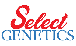 Select Genetics Logo
