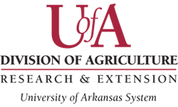 Unoversity of Arkasas Logo