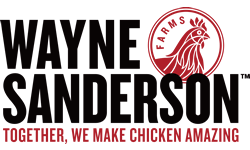 Wayne Sanderson Logo